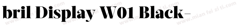 bril Display W01 Black字体转换